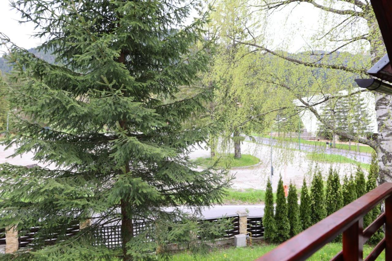 Vila Pinul Si Mesteacanul Poiana Brašov Exteriér fotografie