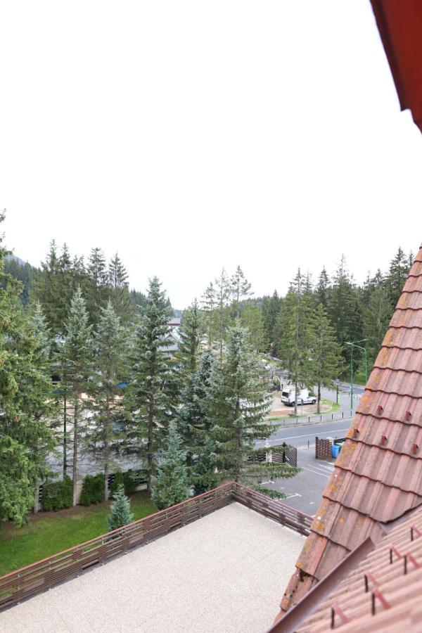Vila Pinul Si Mesteacanul Poiana Brašov Exteriér fotografie