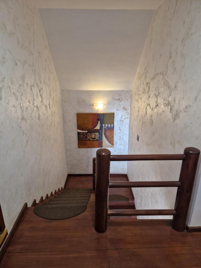 Vila Pinul Si Mesteacanul Poiana Brašov Exteriér fotografie