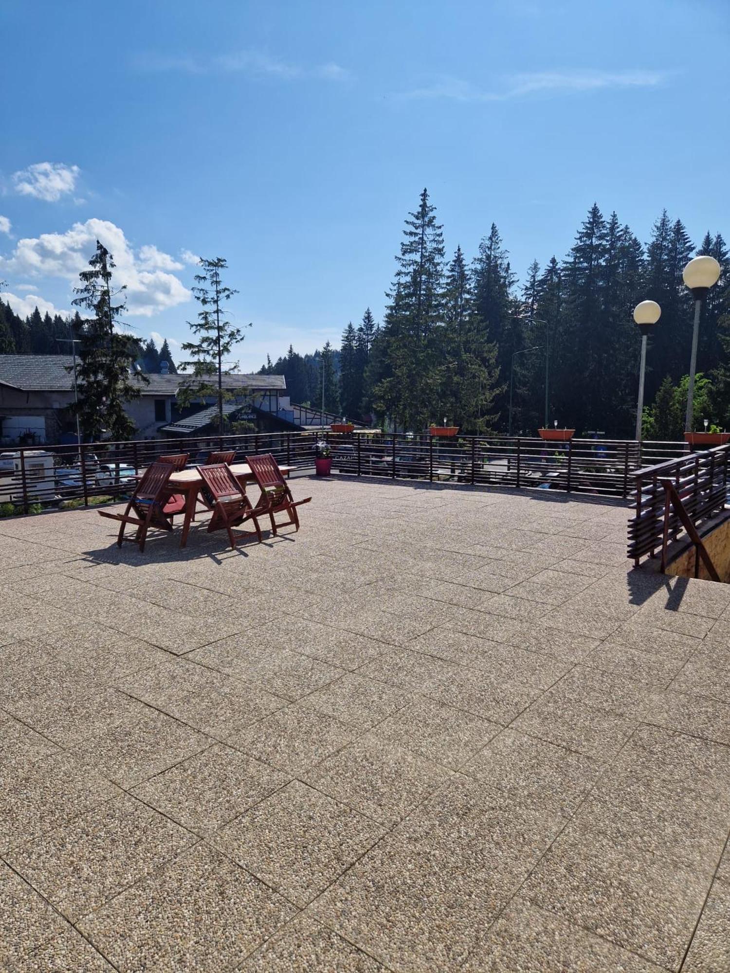 Vila Pinul Si Mesteacanul Poiana Brašov Exteriér fotografie