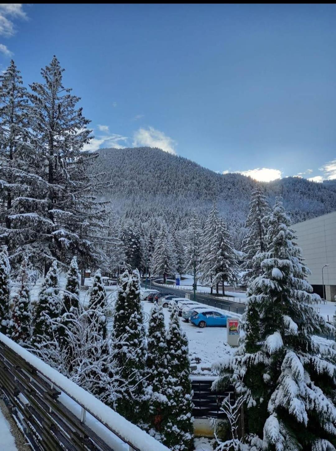 Vila Pinul Si Mesteacanul Poiana Brašov Exteriér fotografie