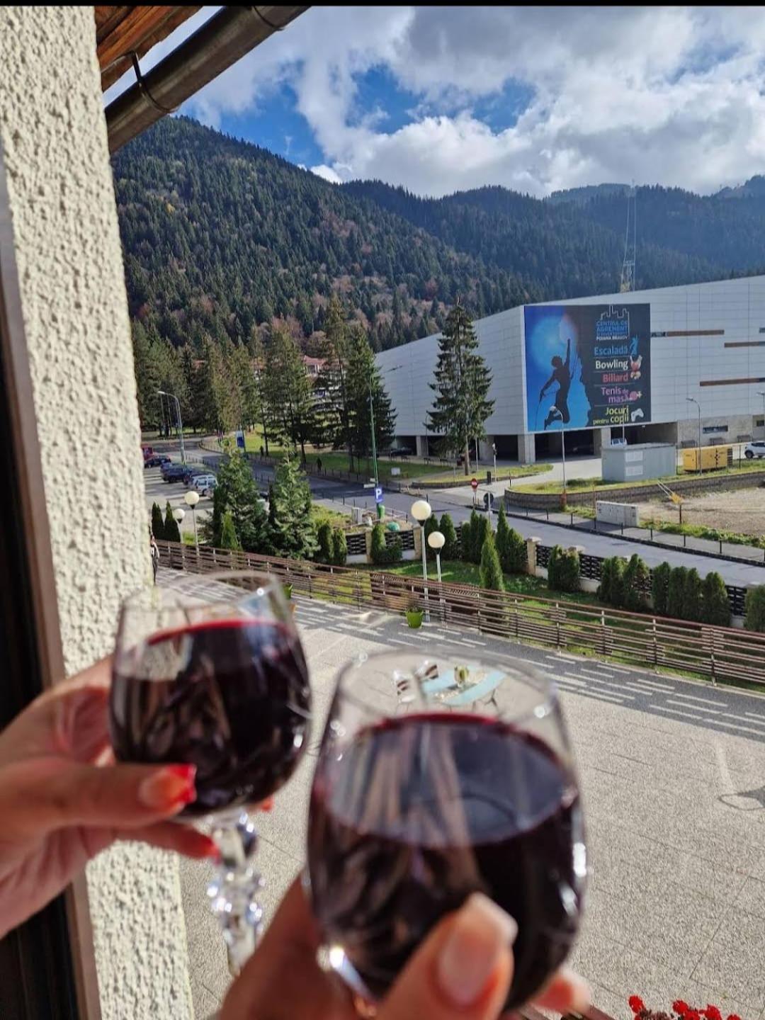 Vila Pinul Si Mesteacanul Poiana Brašov Exteriér fotografie