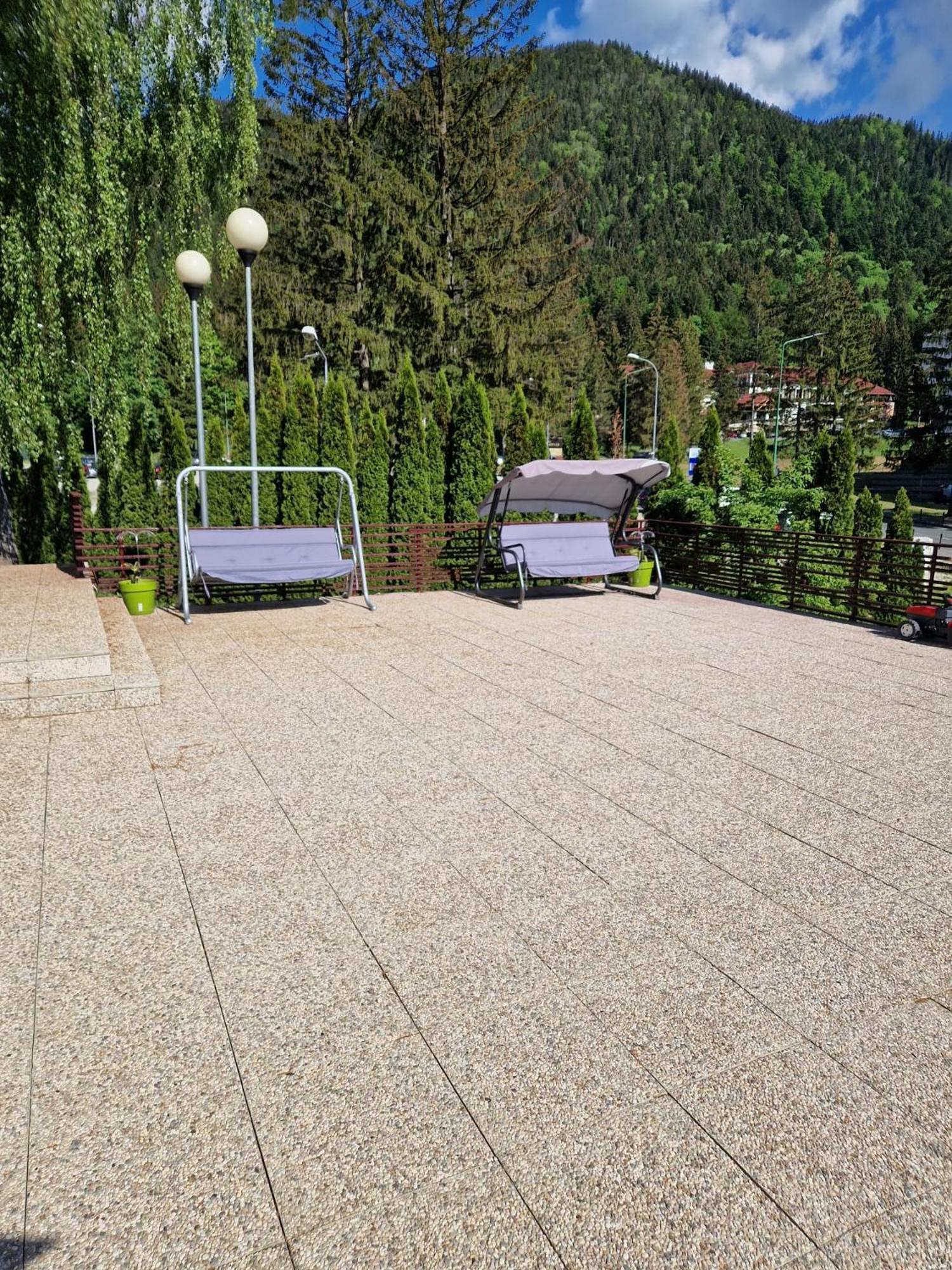 Vila Pinul Si Mesteacanul Poiana Brašov Exteriér fotografie