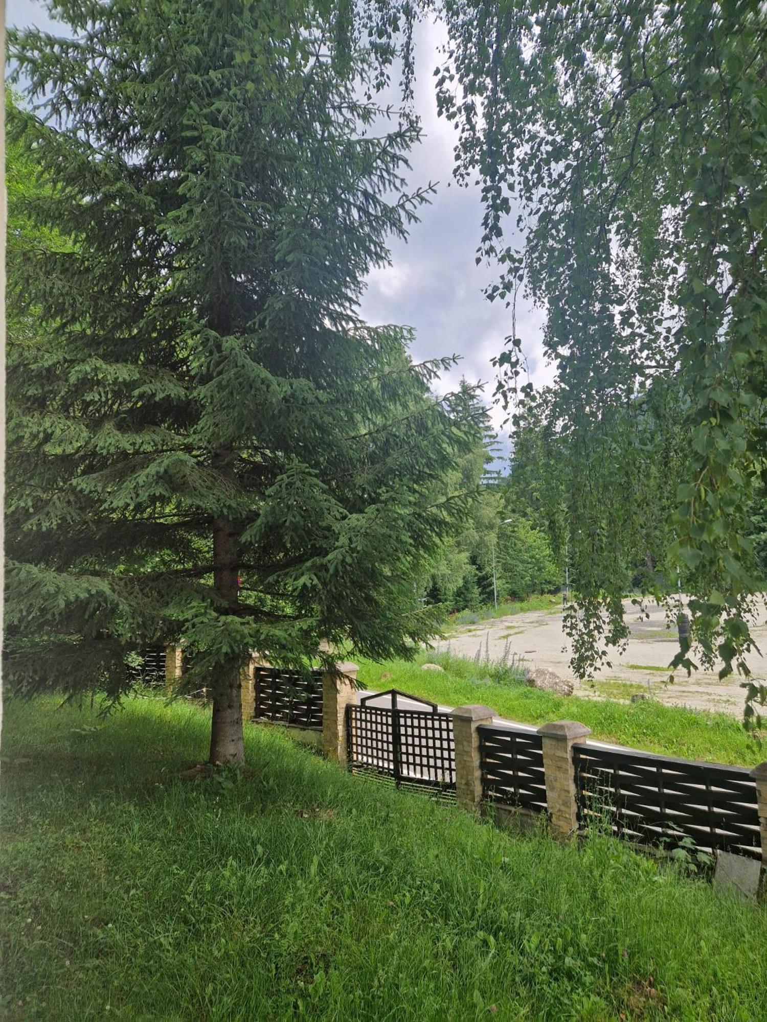 Vila Pinul Si Mesteacanul Poiana Brašov Exteriér fotografie